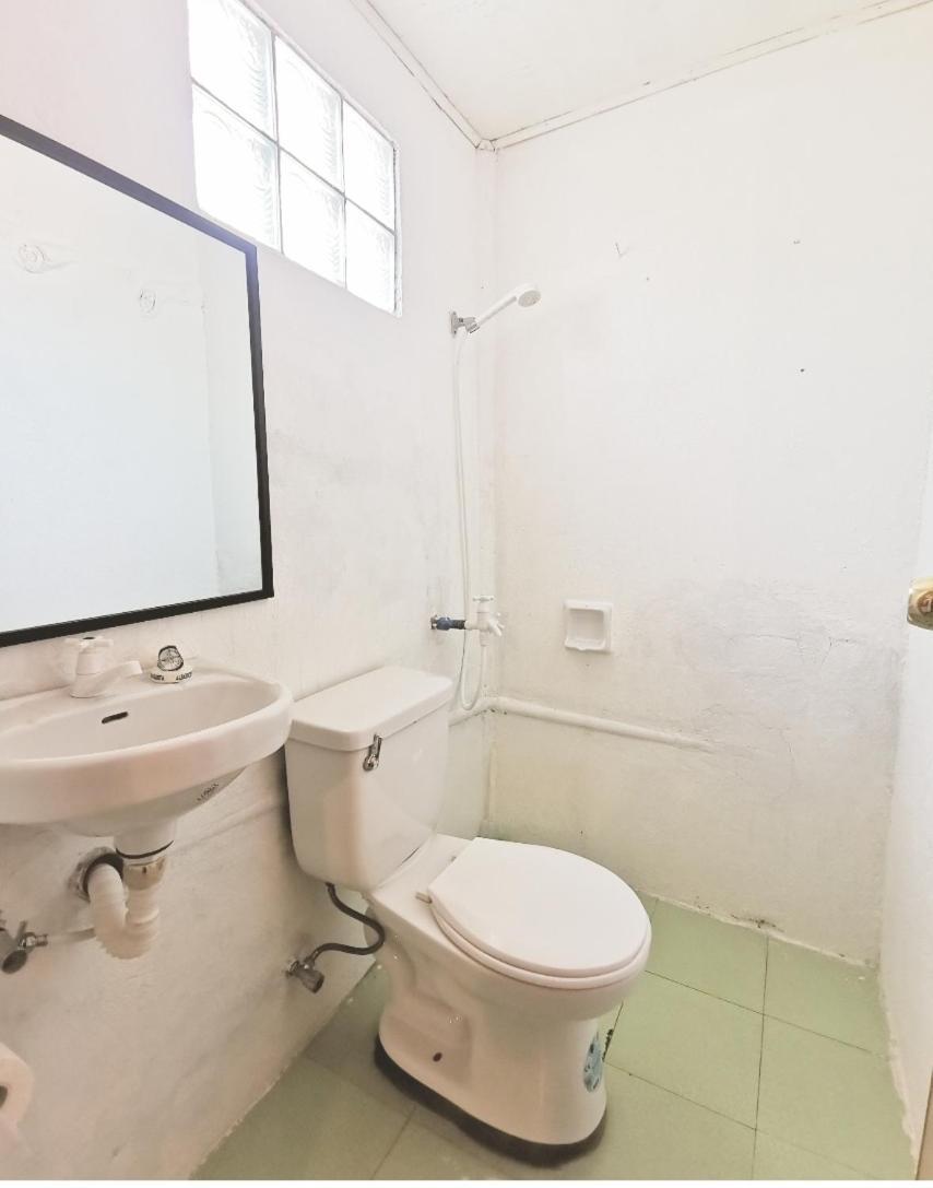 Seaside Hostel Malapascua Værelse billede